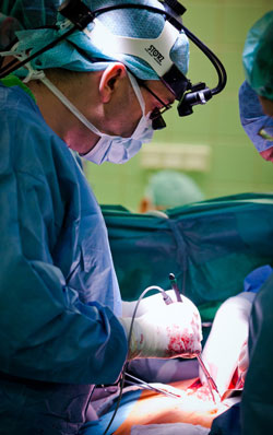 Departamento de Trasplantes y Cirugía de la Universidad Semmelweis