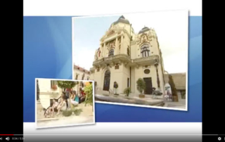 universidad-pecs