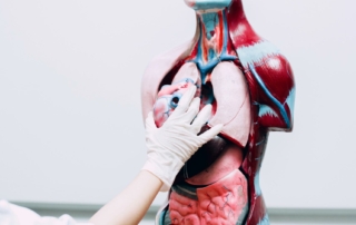 mano sujetando un corazon